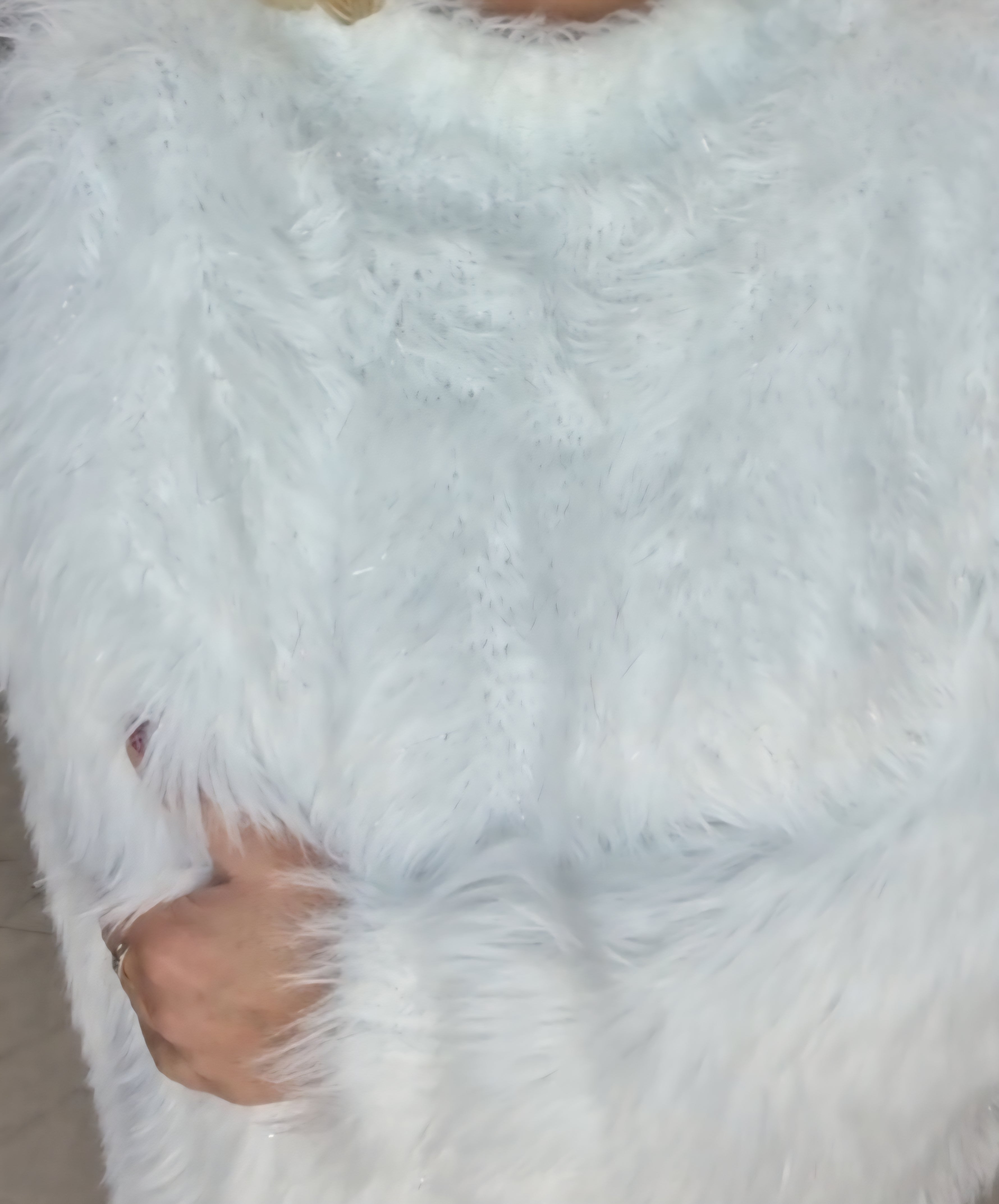 Schöne Pullover in Weiß